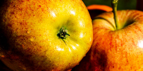 一手货源直供的短信压力测试破解版